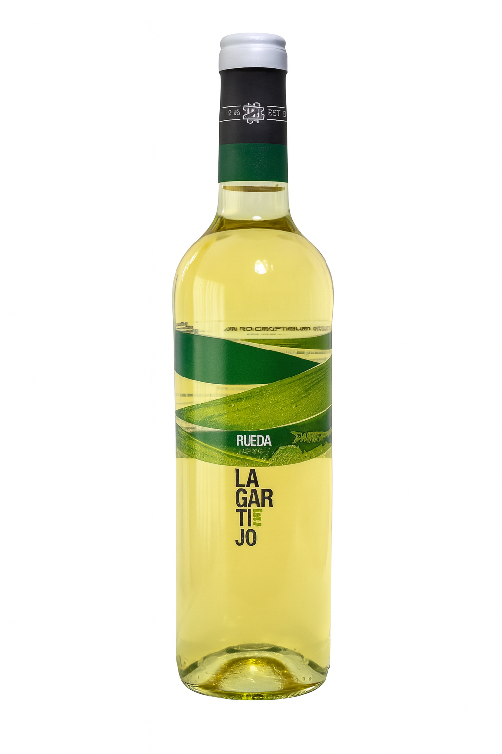 Lagartijo blanco verdejo